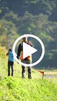 BIB:  <button type="button" onclick="openModal(26570845)" class="btn btn-primary btn-sm float-right" data-toggle="modal" data-target=".modal-high-quality">
                <i class="fa fa-download"></i> Download
                </button>